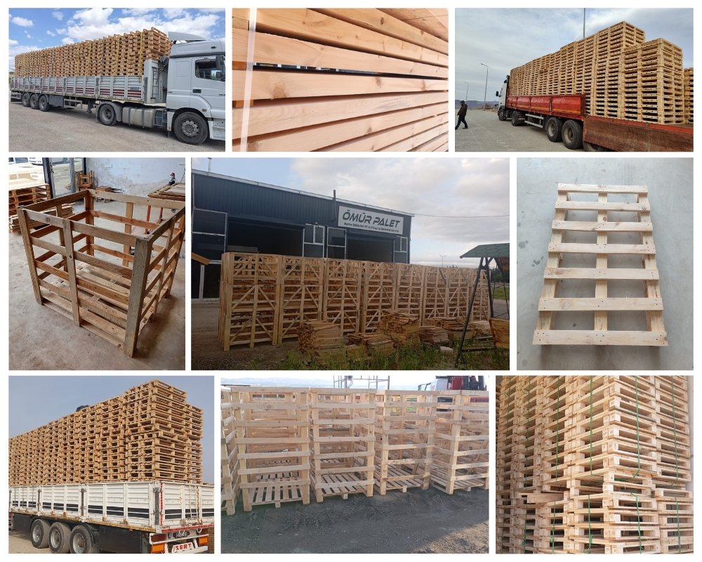 Gallarate Palette Europe, Acheter des palettes en gros